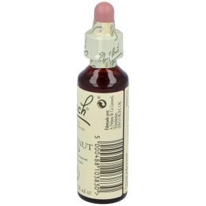 Flores Bach Chestnut Bud Brote Castaño 20Ml.