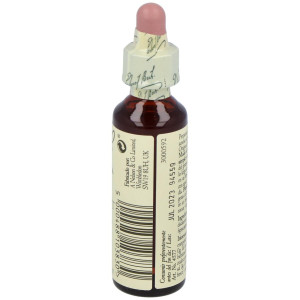 Flores Bach Chestnut Bud Brote Castaño 20Ml.