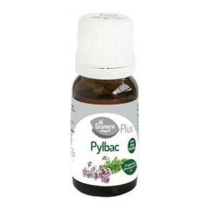 El Granero Pylbac Origanum...