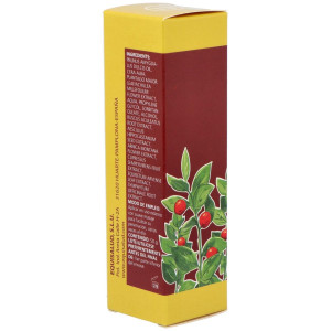 Cerato Ruscus 50Gr.