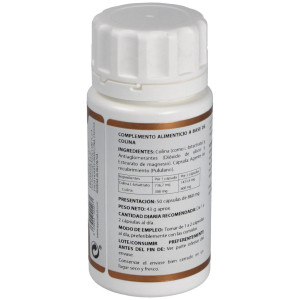Holovit Colina 300Mg. 50Cap.