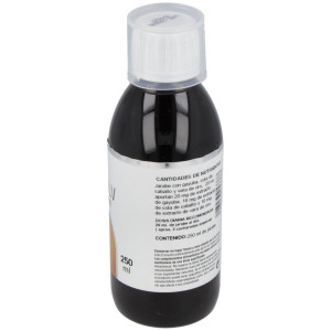 Disolv Renal Jarabe 250Ml.