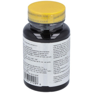 Nature'S Plus Ginkgo Combo 60 Caps