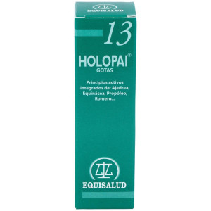 Pai-13 Holopai...