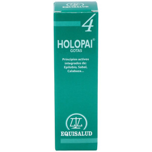Pai-4 Holopai...