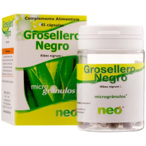 Grosellero Negro...