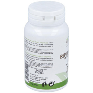 Plantapol Espino Blanco_ Ajo_ Olivo 100 Comprimidos