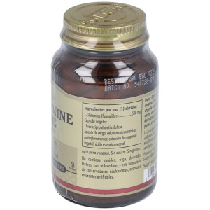 Solgar L-Glutamina 500Mg 50Vcaps
