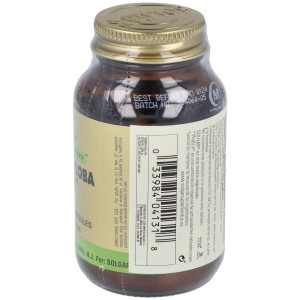 Solgar Ginkgo Biloba Extracto De Hoja 60Vcaps