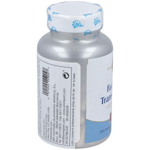 Solaray Factores Transferencia 60 Cap