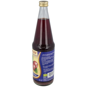 Zumo De Arandanos Rojos Antioxidante 700Ml. Eco