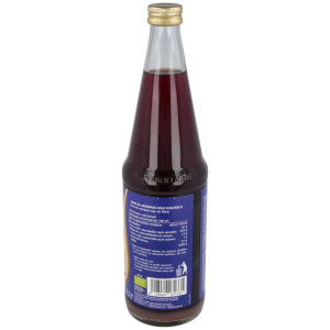 Zumo De Arandanos Rojos Antioxidante 700Ml. Eco
