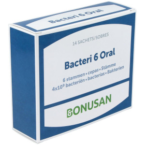 Bacteri 6 Oral 14Sbrs.