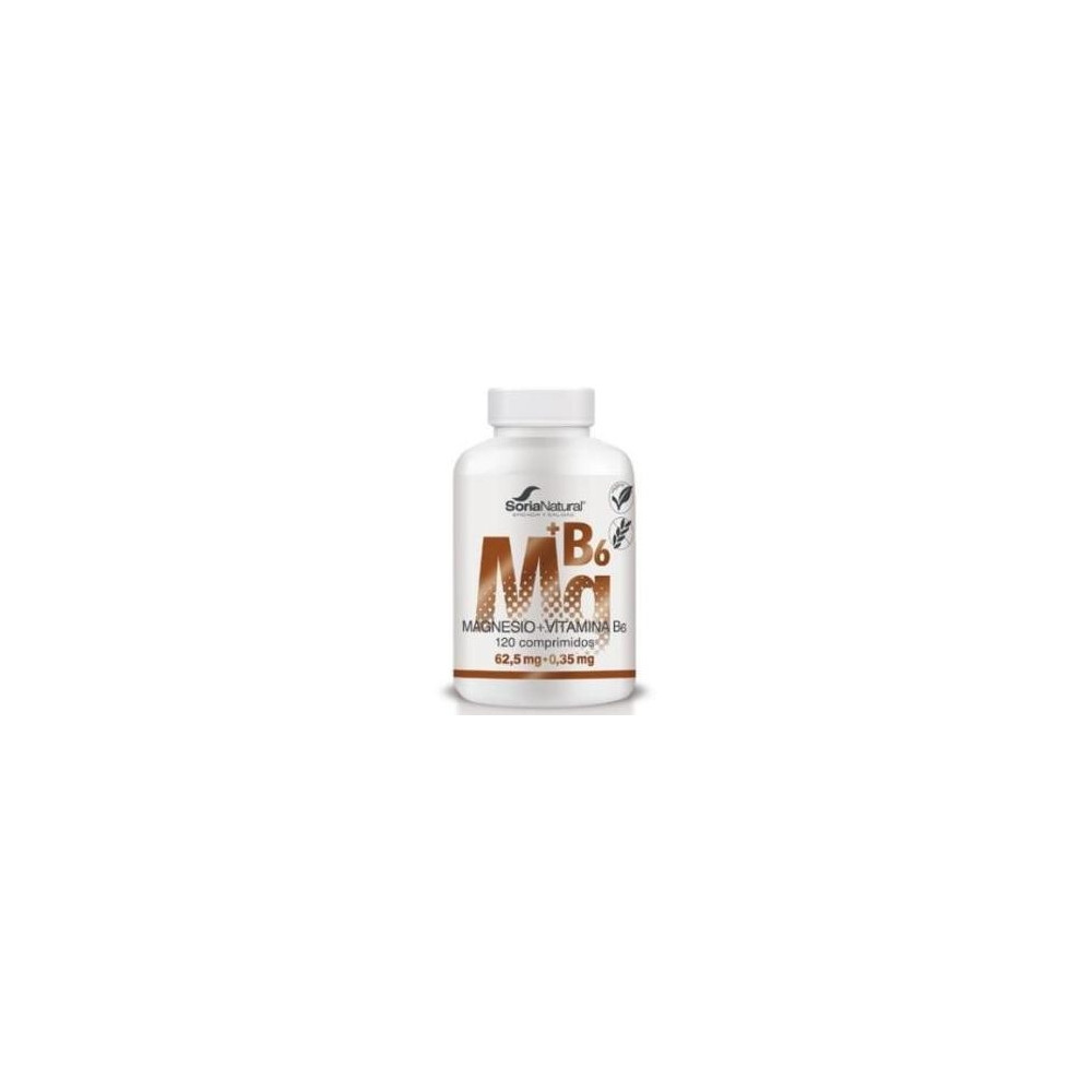 Magnesio+Vit B6 Liberacion Sostenida 1550Mg 120Com