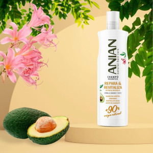 Anian Repara Y Revitaliza...