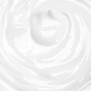 Anian Definición Y Volumen...