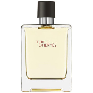 Hermes Paris Terre D'Hermes...