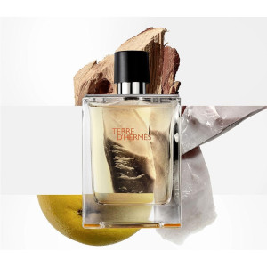 Hermes Paris Terre D'Hermes Eau De Toilette 50Ml