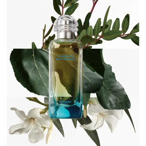 Hermes Paris Un Jardin En...